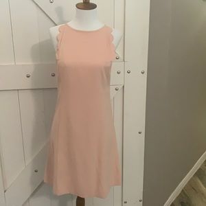 Blush Ann Taylor dress